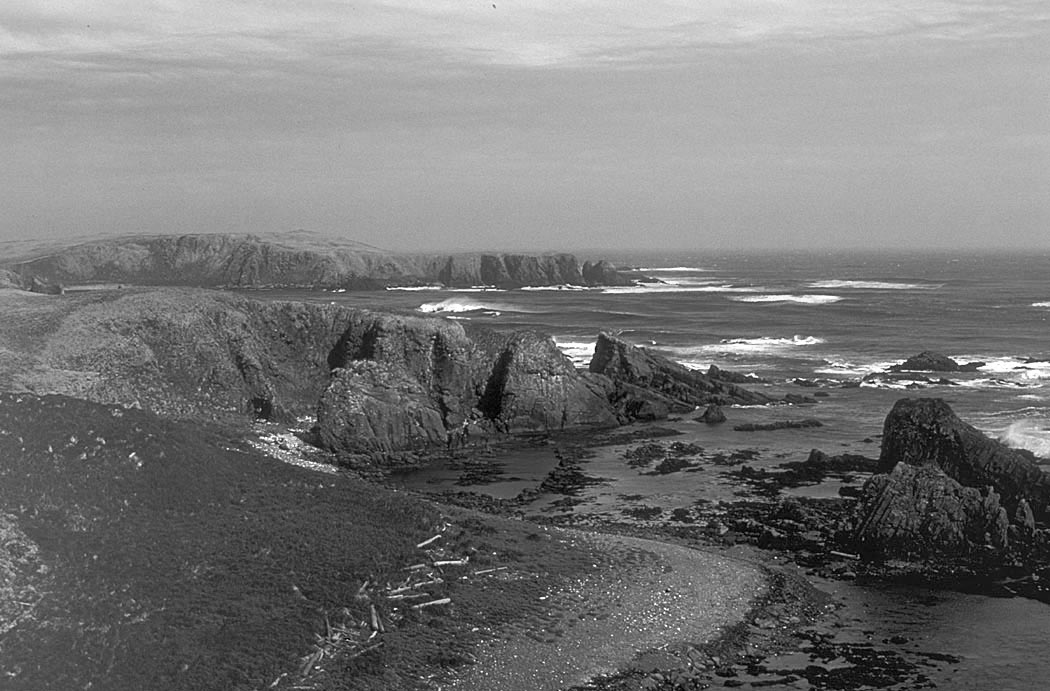 Imagen de la hermosa costa de Amchitka, hogar de la vida natural y la fauna en peligro.