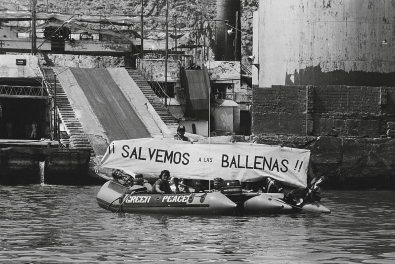 Protesta de Greenpeace contra balleneros en aguas peruanas